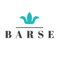 Barse Jewelry